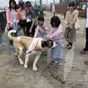 めぐかあさん3