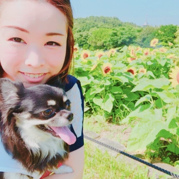 ひまわり