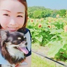 ひまわり