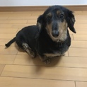 ありがとうございました