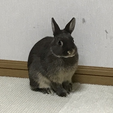 の写真