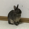 の写真
