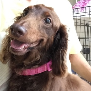 トライアル決定