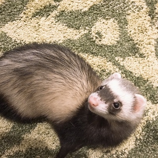 たくさんのご応募、誠にありがとうございました！