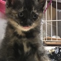 ちょっと有名なんです笑 笑えるオブちゃん