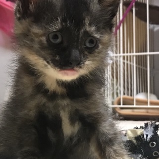 ちょっと有名なんです笑 笑えるオブちゃん