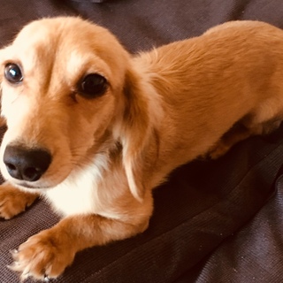 沢山のご応募、ありがとうございました。