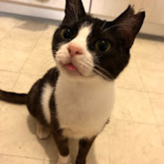 大人しくて手がかからない女の子です！