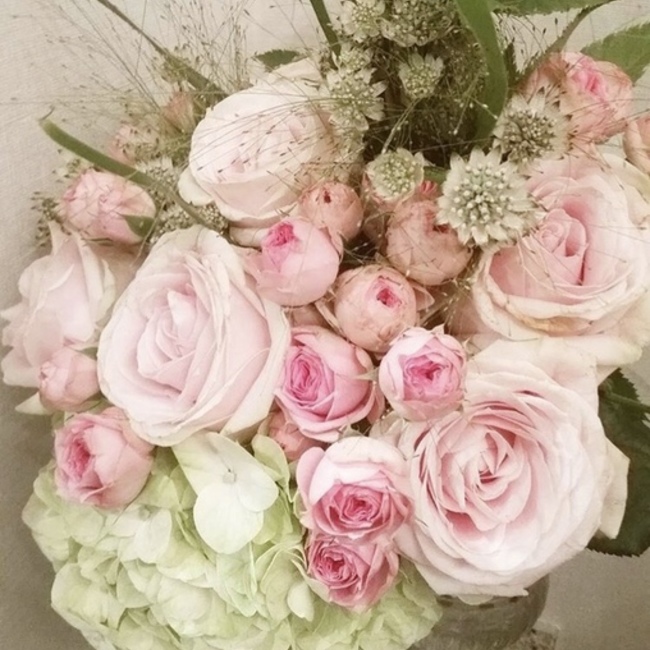 ココティファのカバー写真