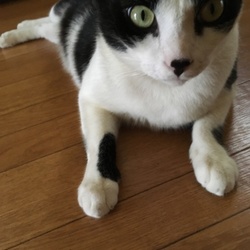 「暑中お見舞い申し上げます！！」サムネイル1