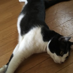 「暑中お見舞い申し上げます！！」サムネイル3