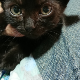 ありがとうございました！