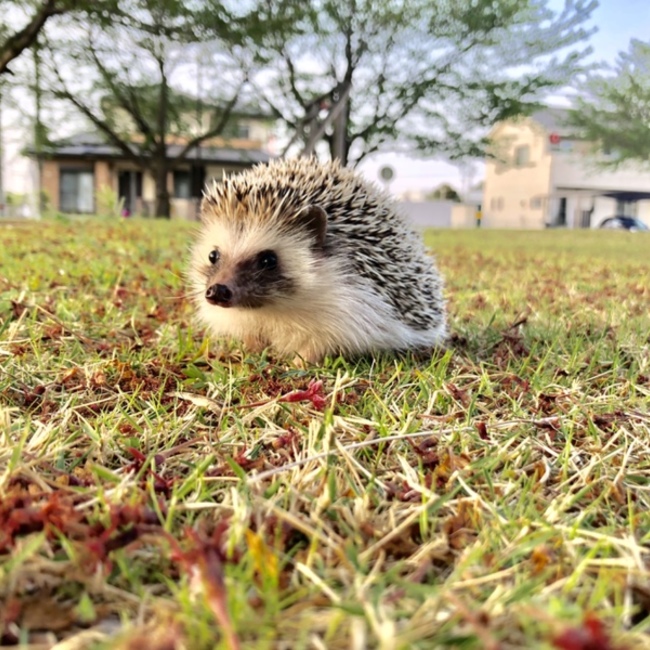 ゆうき0805のカバー写真