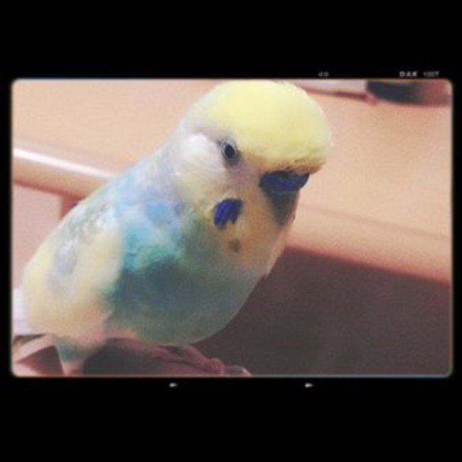 Beべのカバー写真