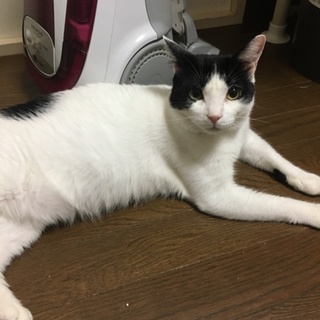 ❤️甘えん坊な男の子❤5歳