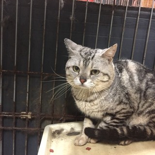 親切な方に探して頂くことになりました。