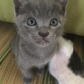 6月1日生まれです