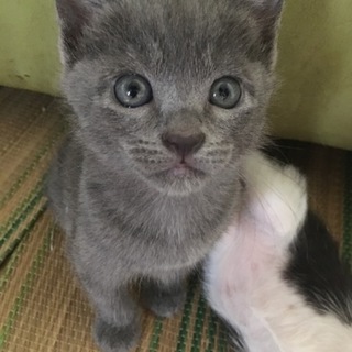 6月1日生まれです