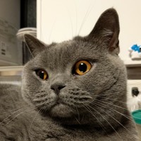 アッシュ