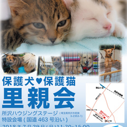 所沢ハウジングステージにて犬猫の里親会