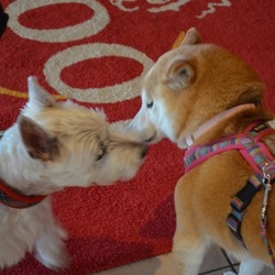 もっとおおらかに(๑´ڡ`๑)穏やかに