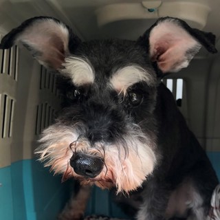 澄んだ瞳の愛らしい、可愛い女の子♪