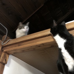 「もう目前なのに！」サムネイル1