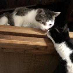 「もう目前なのに！」サムネイル2