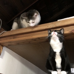 「もう目前なのに！」サムネイル3