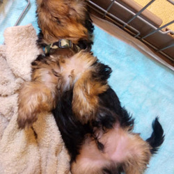 暑くて疲れちゃう