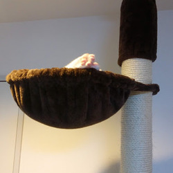 「暑くて疲れちゃう」サムネイル2