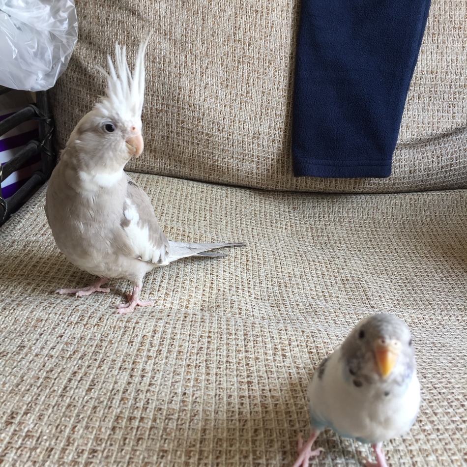 そらのカバー写真