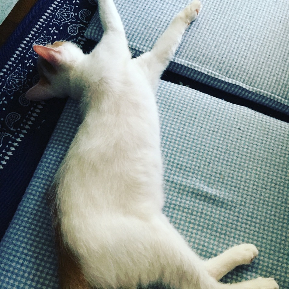 たくとのカバー写真