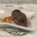 ☆