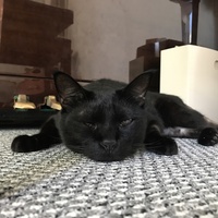 そらまめ
