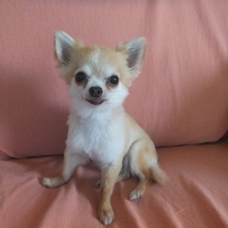 サマーカットしてみた(^^♪