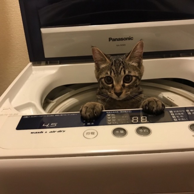 まっそのカバー写真