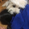 の写真