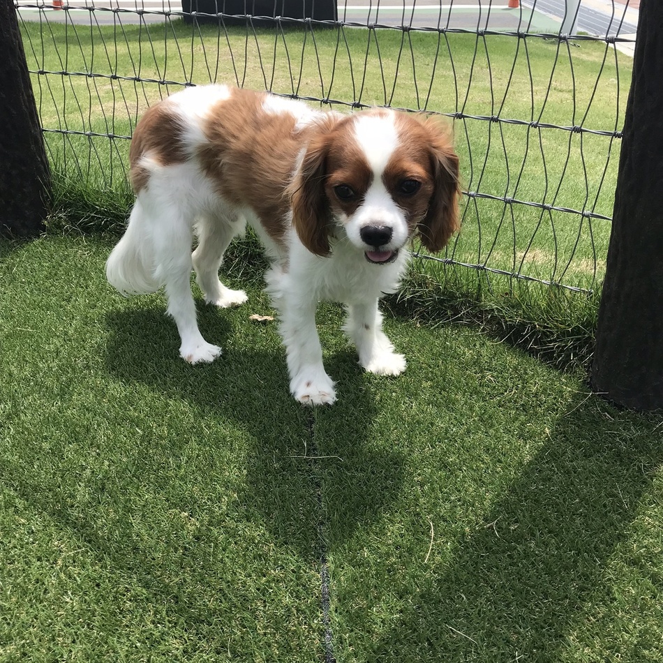 ソラのカバー写真