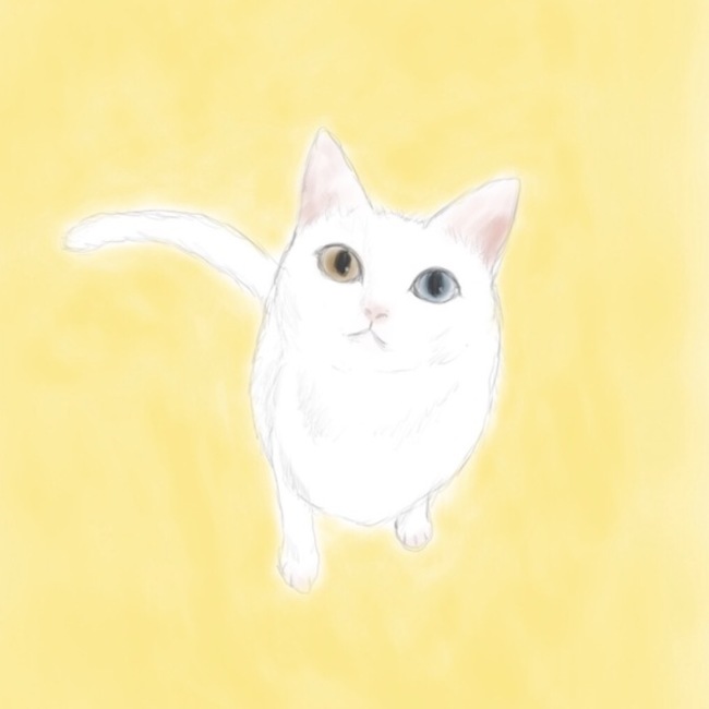 HIDE0920のカバー写真