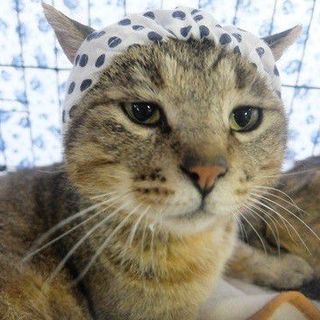 癒し系♪のんびりおっとりボーイ・梅造