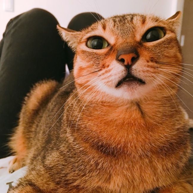 茶楽のカバー写真