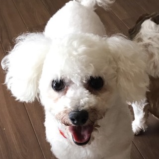 名取（なとり）元気で明るい子