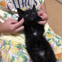 ちっこい  くろちゃん♡