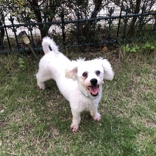 宮戸（みやど）おっとりマイペース　