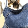 きなこ