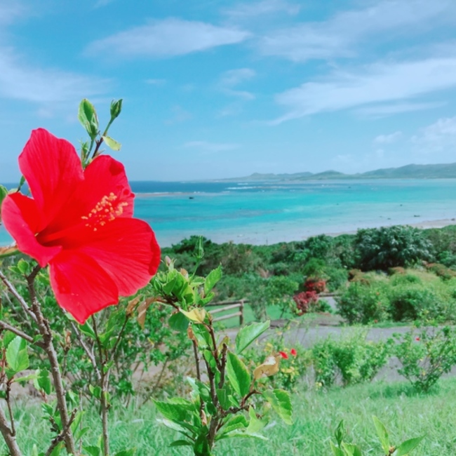 中島洋のカバー写真