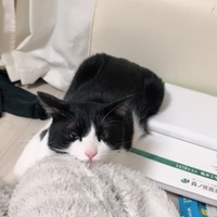 タナカ