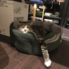 の写真