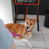 ちゃちゃ